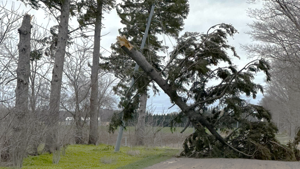 Thousands still in the dark in Ontario after high winds cause widespread outages