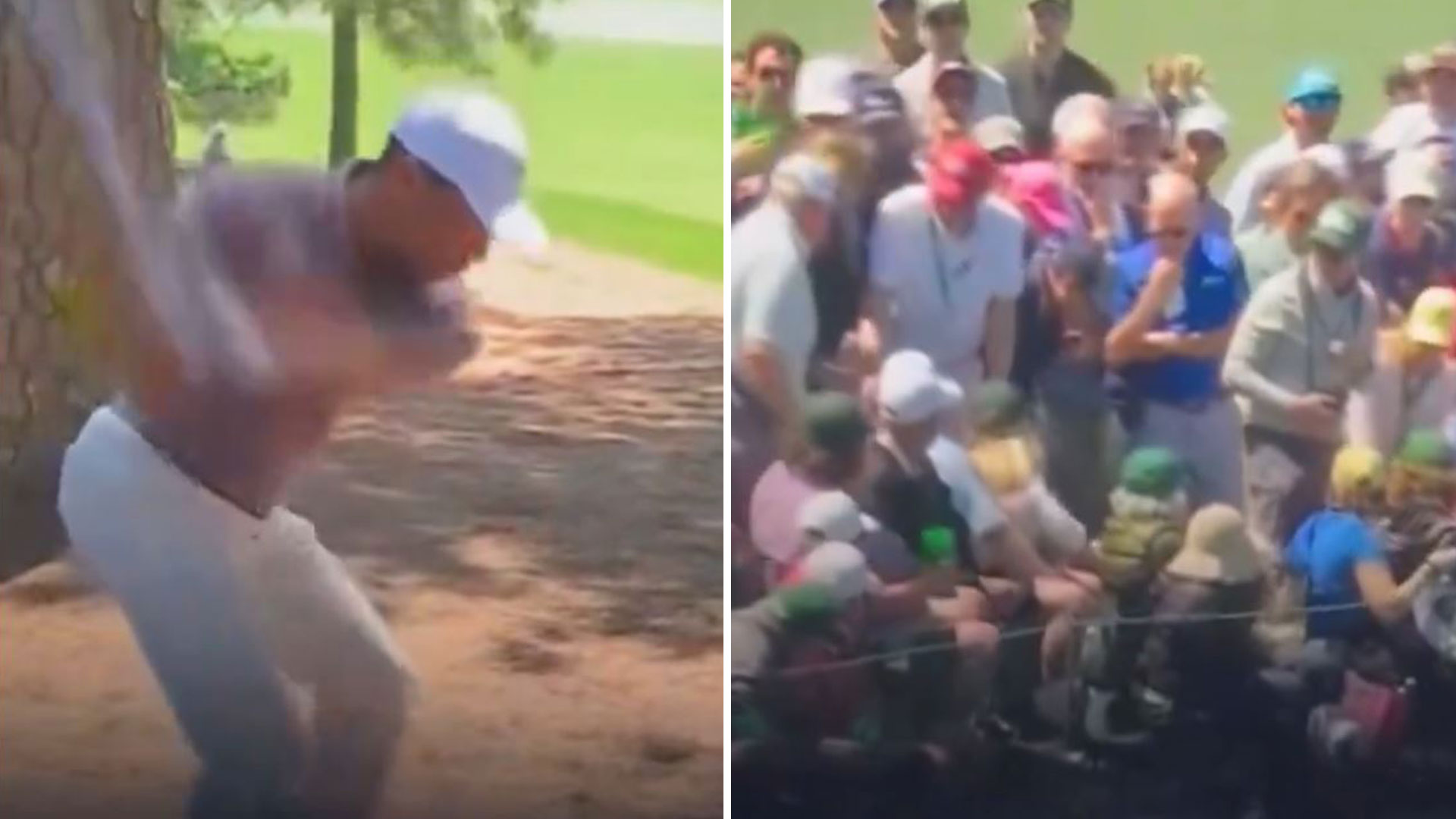 Tiger Woods appears to hit unfortunate fan on the head with wayward shot through trees on the way to Masters record