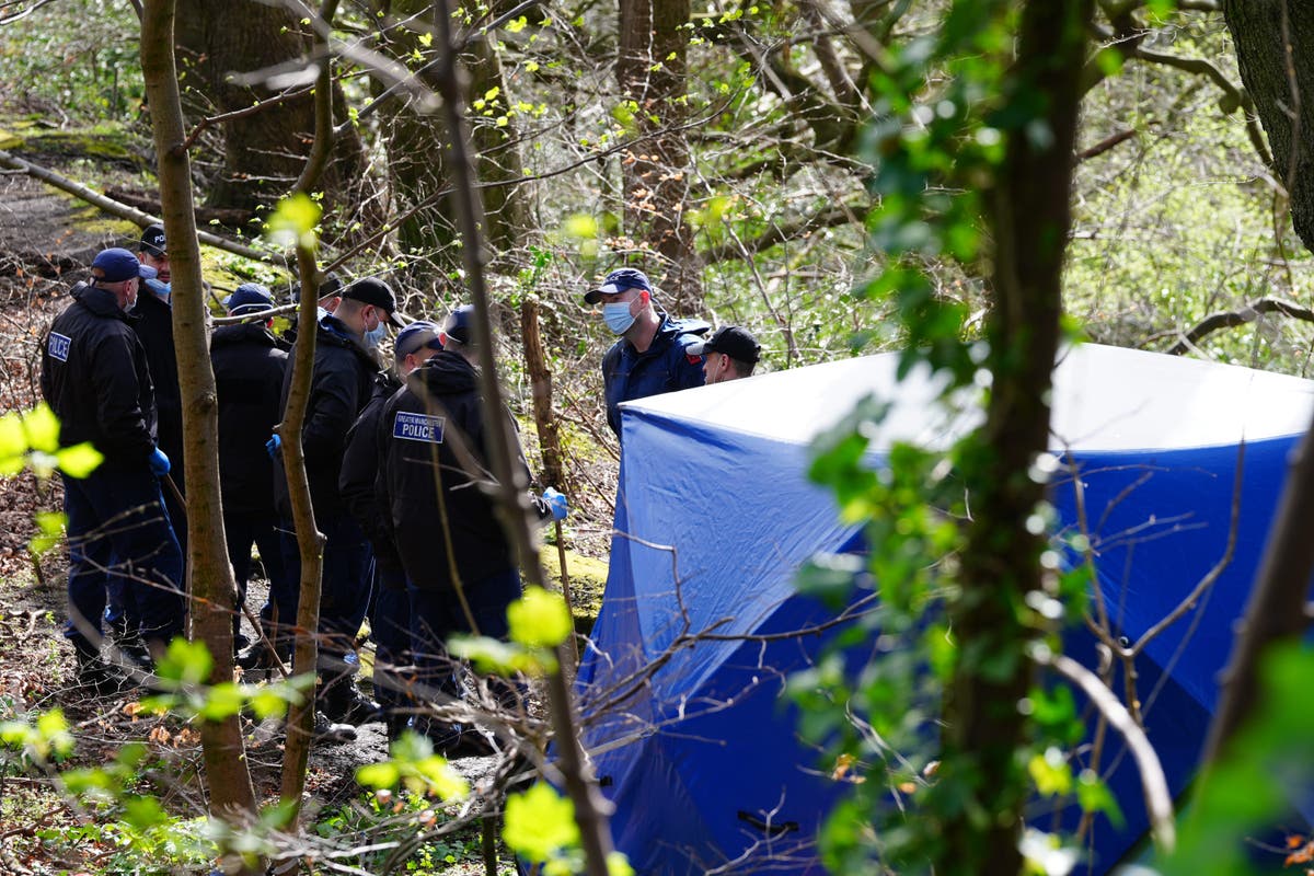 Two men remanded on murder charge after torso found in nature reserve