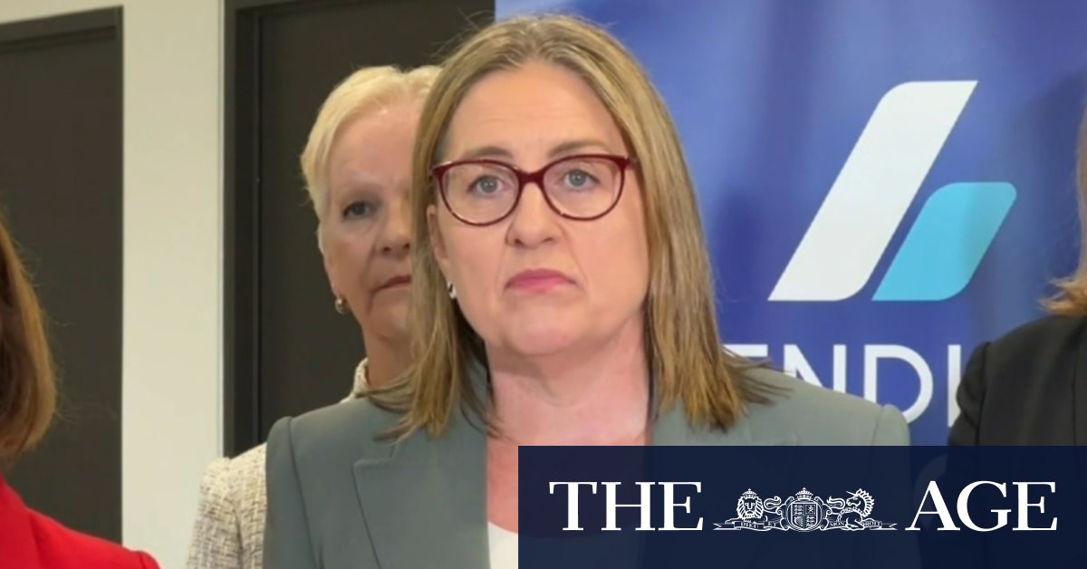 Victorian government considers new laws to tackle domestic violence
