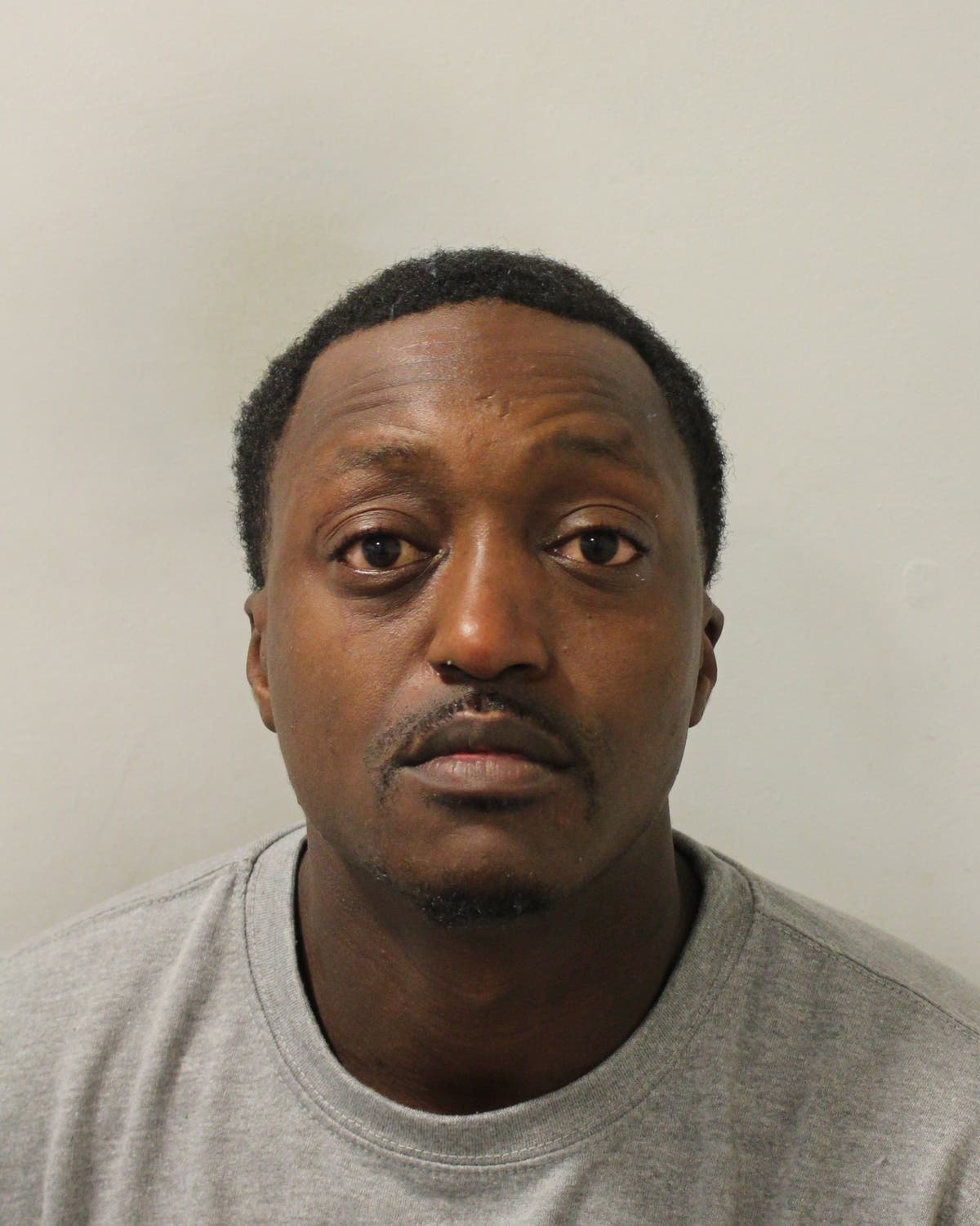 'Violent predator' kidnapped woman and attempted to rape her in van in Haringey