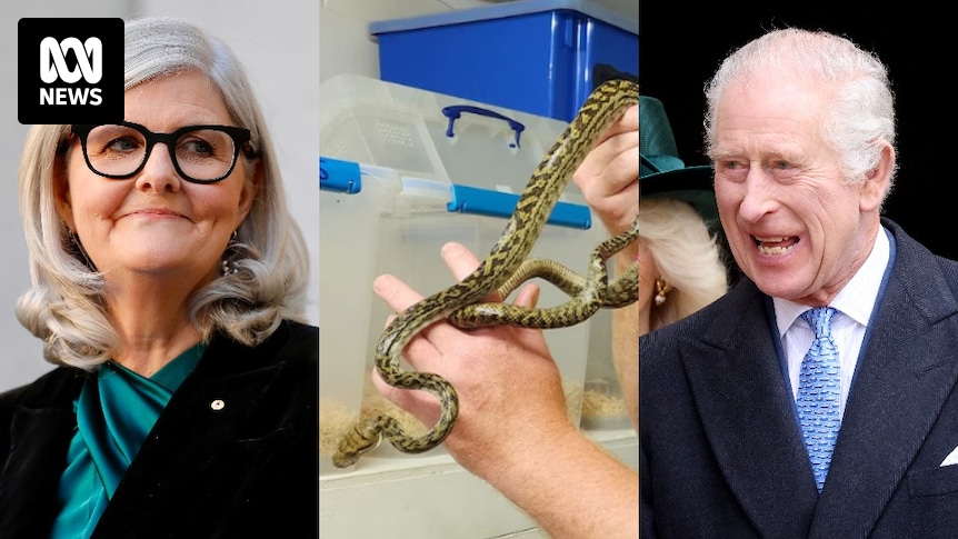 Weekly News Quiz: Australia's new governor-general, a royal easter appearance and a python's odd snack