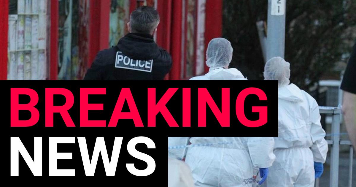 Woman, 27, stabbed to death in broad daylight as killer on the loose