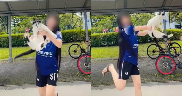 Woman films herself swinging cat around in Boon Lay, gets people telling her to 'leave it alone'