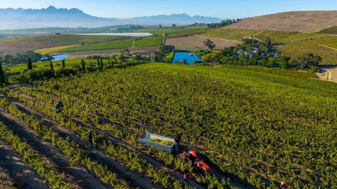Explore The Riches Of Jordan Wine Estate In Stellenbosch, South Africa