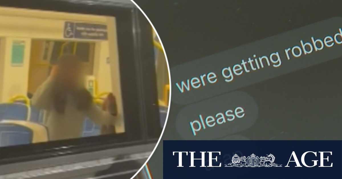 Adelaide mother confronts violent schoolgirls on train