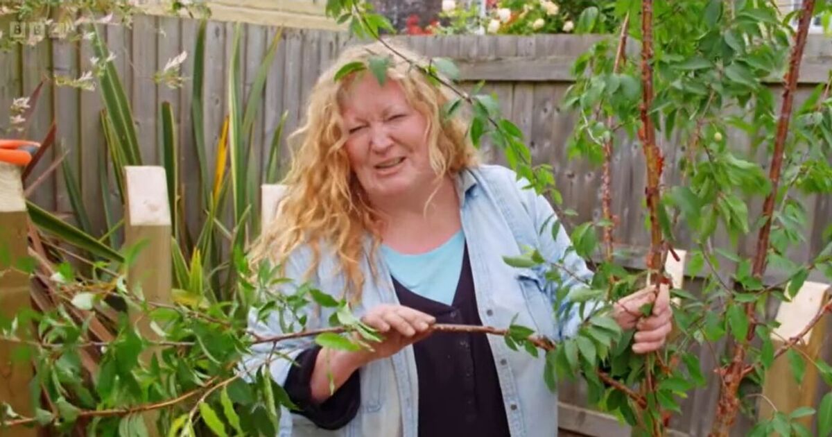 BBC Garden Rescue's Charlie Dimmock's four word clap back as co-star explains design