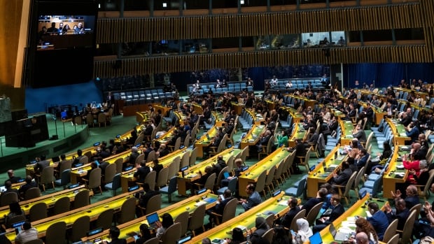 Canada abstains from UN assembly vote backing Palestinian bid for membership
