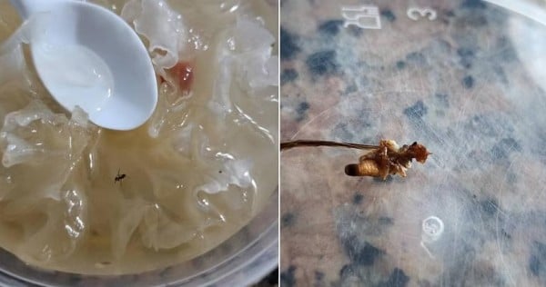 Catering firm Sakura Buffet's licence cancelled after reports of meals with insects; SFA urges not to get food from 12 other businesses linked to it