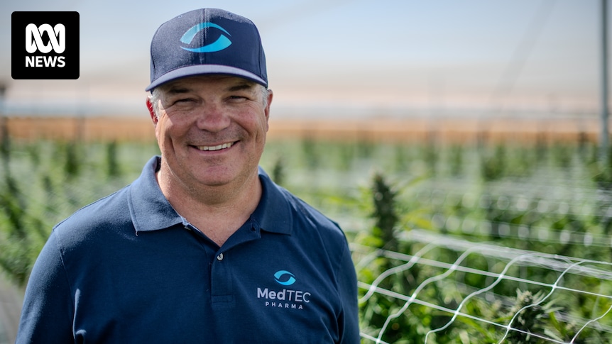 Citrus grower invests in one of Australia's largest outdoor medicinal cannabis facilities