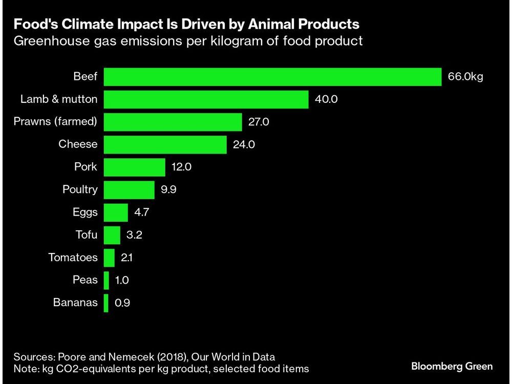 Cut Aid for Livestock Farms to Help Climate Fight, World Bank Says