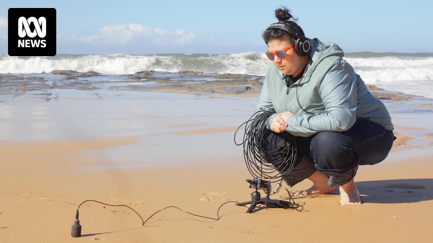 Deep listening scholar captures the sound of the sea along NSW coastline