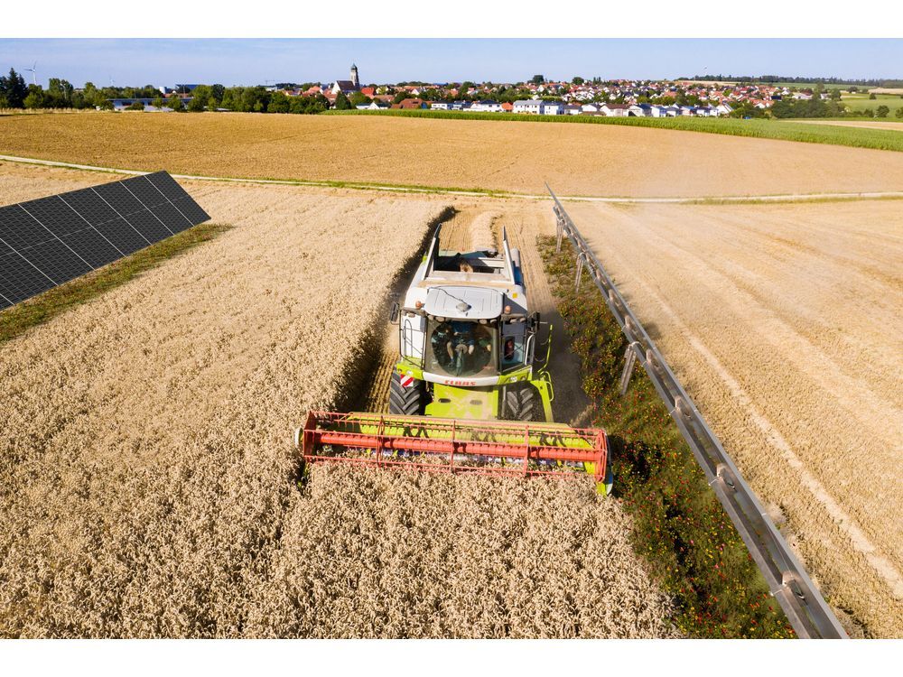 Fields and the Sun: Agricultural PV, an Opportunity for the Energy and the Farming Industry