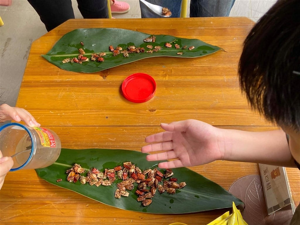 Food safety agency refuses to give blessing to lychee giant stink bugs