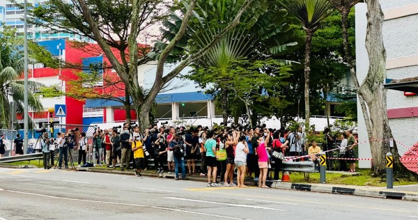 Fun or nuisance? Crowds flock to Telok Blangah to snap photos of owl family, inconveniencing road users