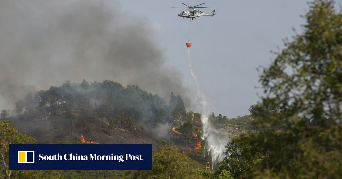 Hong Kong authorities to install AI tech at country parks to spot wildfires, tally visitors. But can it see the wood for the trees?