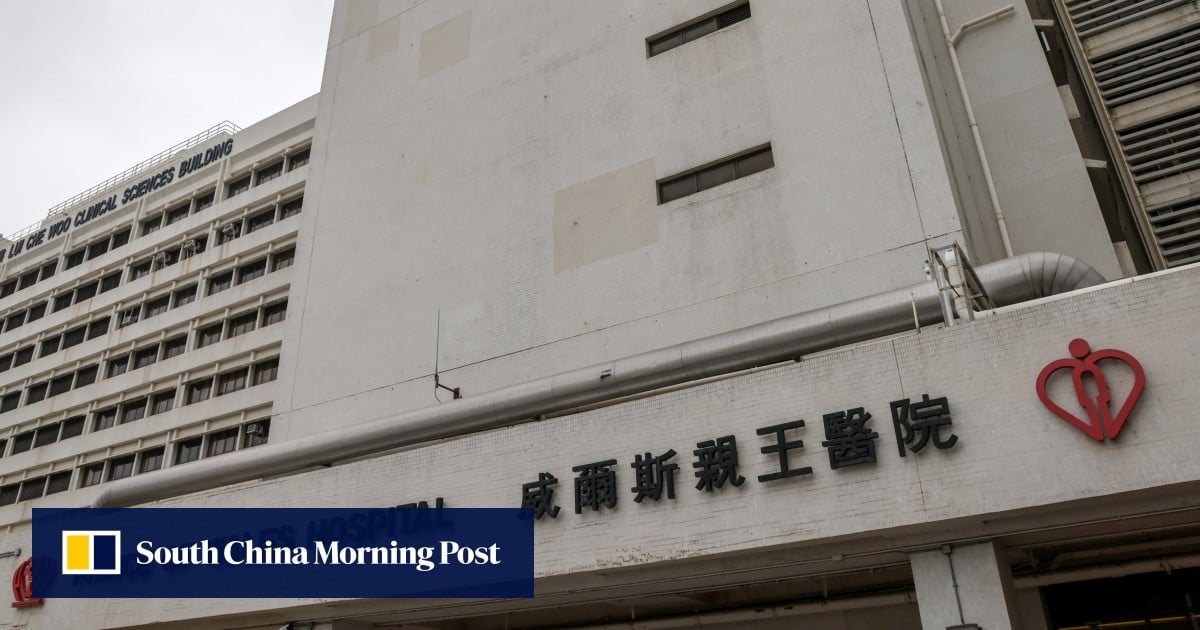 Hong Kong records fourth death of child from flu this year as infections surge