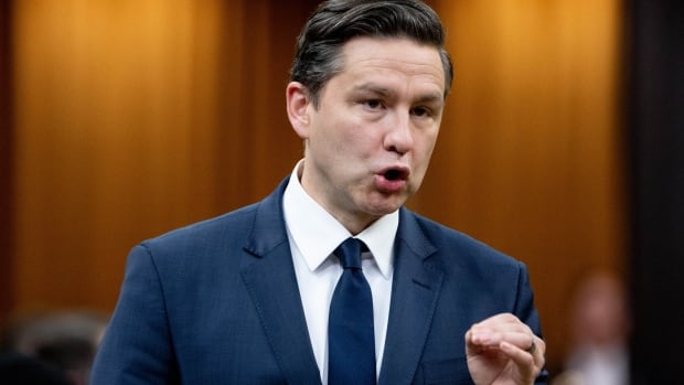 Just how far is Pierre Poilievre willing to take the notwithstanding clause?