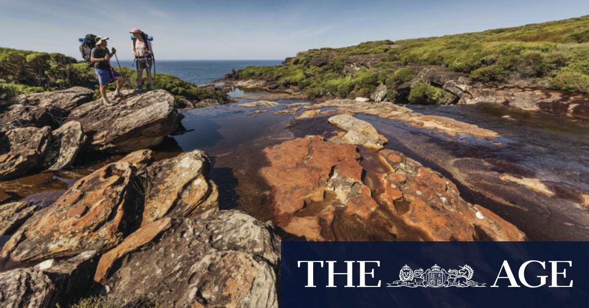 Man survives 40-metre fall from popular coastal walk, spends night on cliff ledge