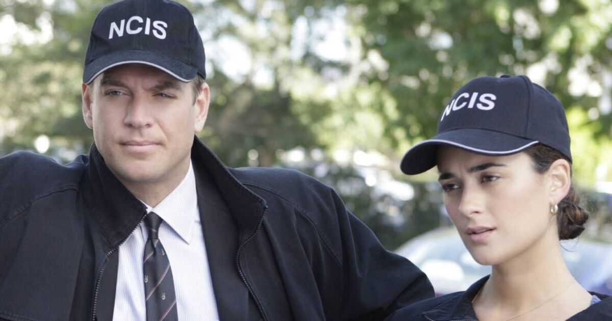Michael Weatherly's interest peaks at NCIS fan's guess of Tony and Ziva spin-off title