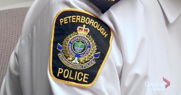 Peterborough police make gunpoint arrest of vehicle theft suspect