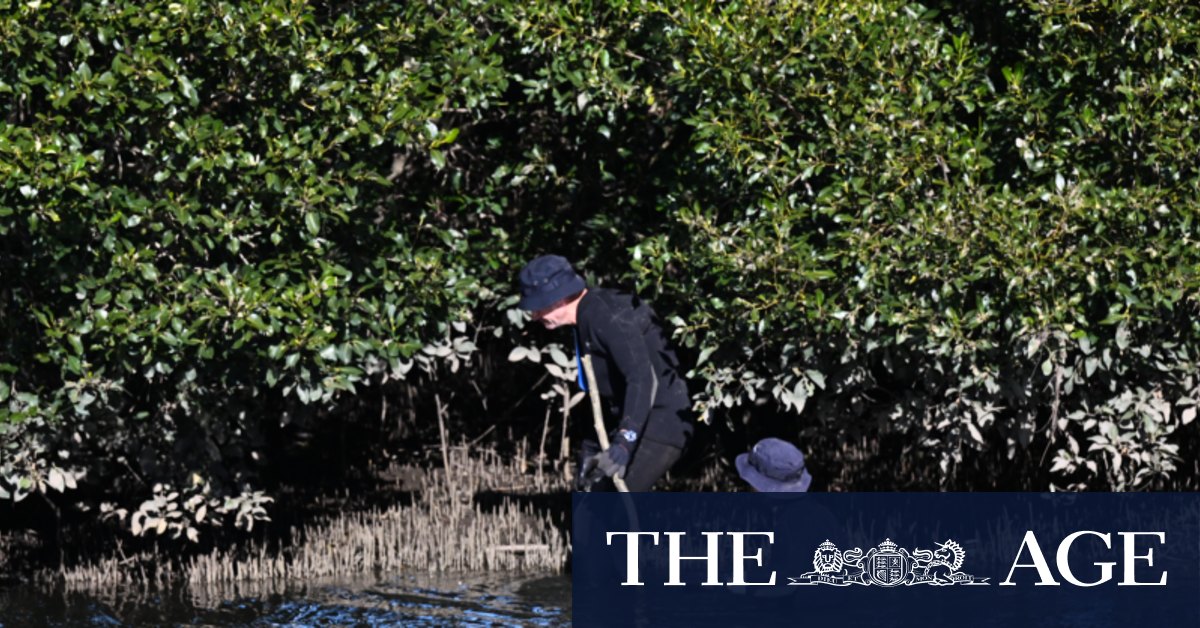 Police search new site on banks of Cooks River near where woman gave birth