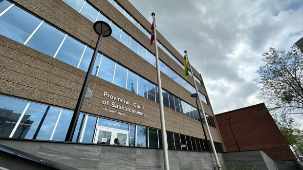 Sask. expands intensive court program that helps people address substance use