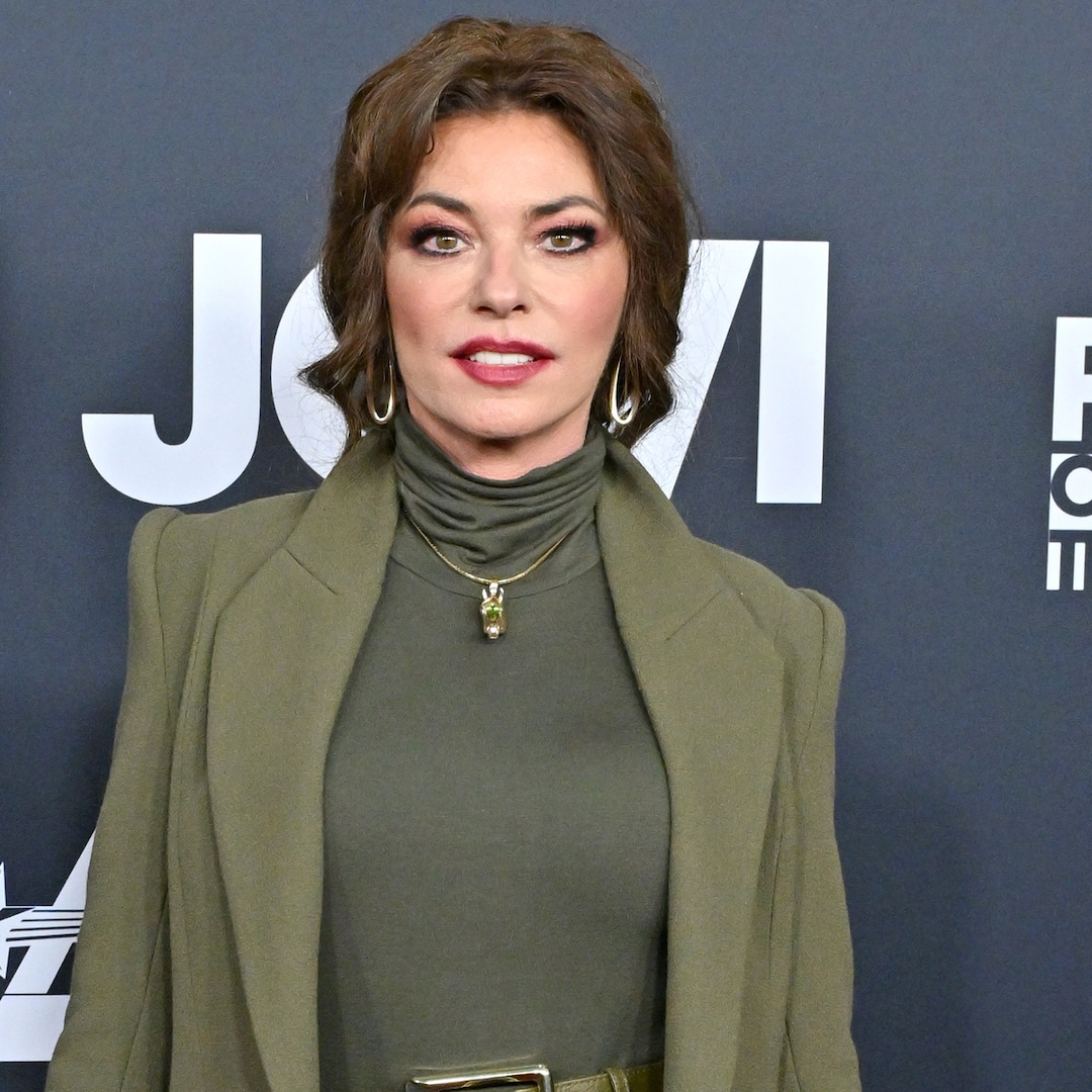  Shania Twain Looks Unrecognizable in Vibrant Pink Hair 