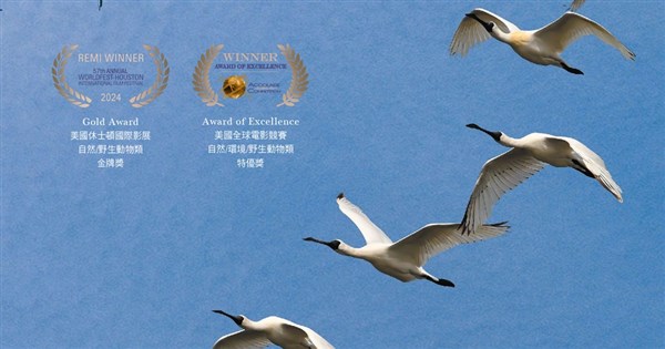 Taiwan bird documentary wins awards at American film festivals