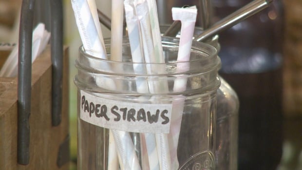 'They suck': Sask. MP takes aim at paper straws, tables bill pushing back against single-use plastics ban