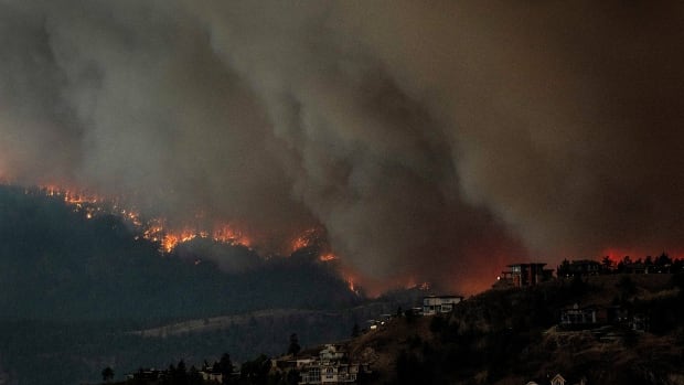 Western Canada and the North face an above average wildfire risk in June, federal officials say