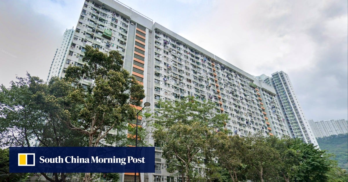 Woman and mentally disabled son found dead in Hong Kong flat in suspected suicide pact over caregiving struggles