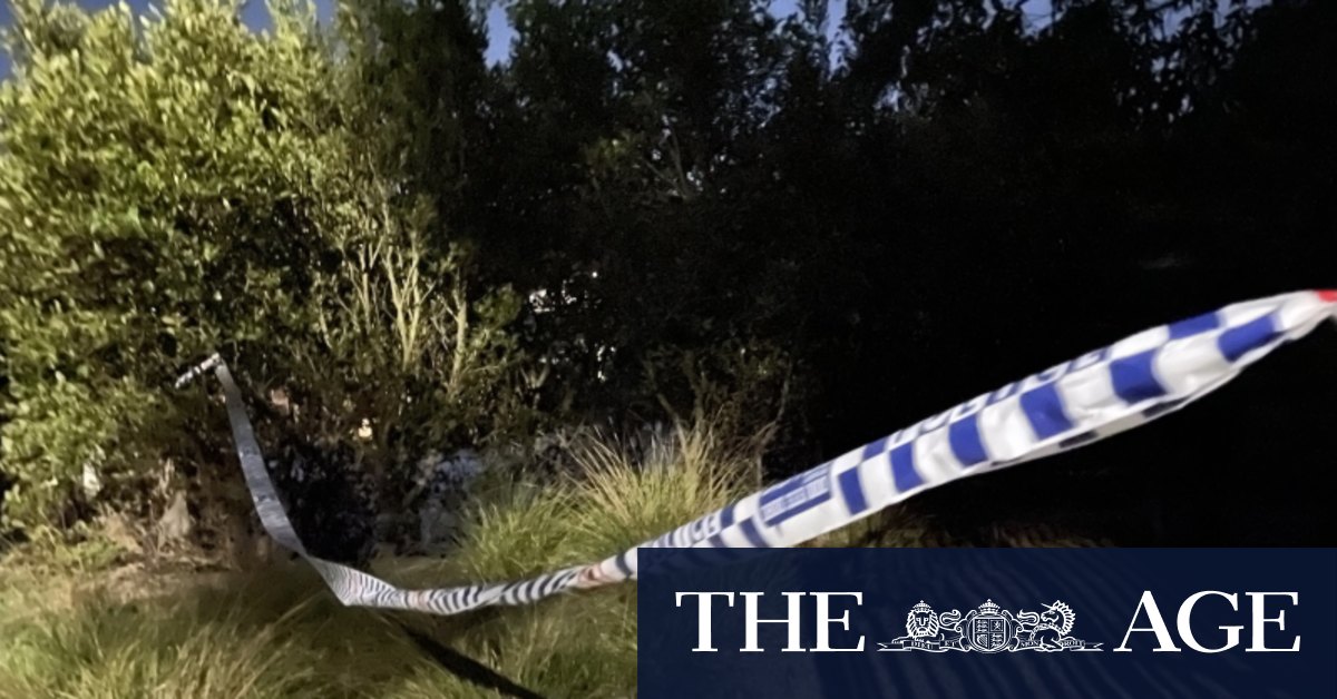 Woman gives birth on banks of Cooks River, then disappears