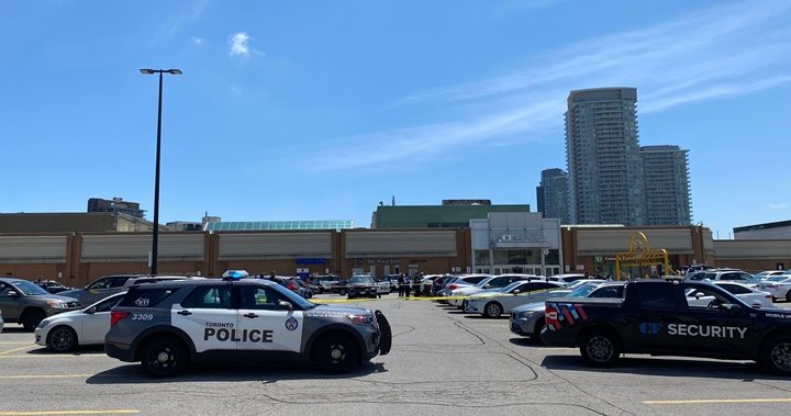 Woman seriously injured in stabbing at Fairview Mall: Toronto police
