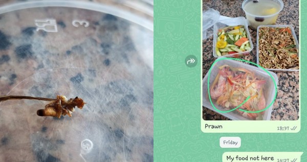 'Worse than cai fan': Mum upset by 'insects and foreign objects' in confinement meals