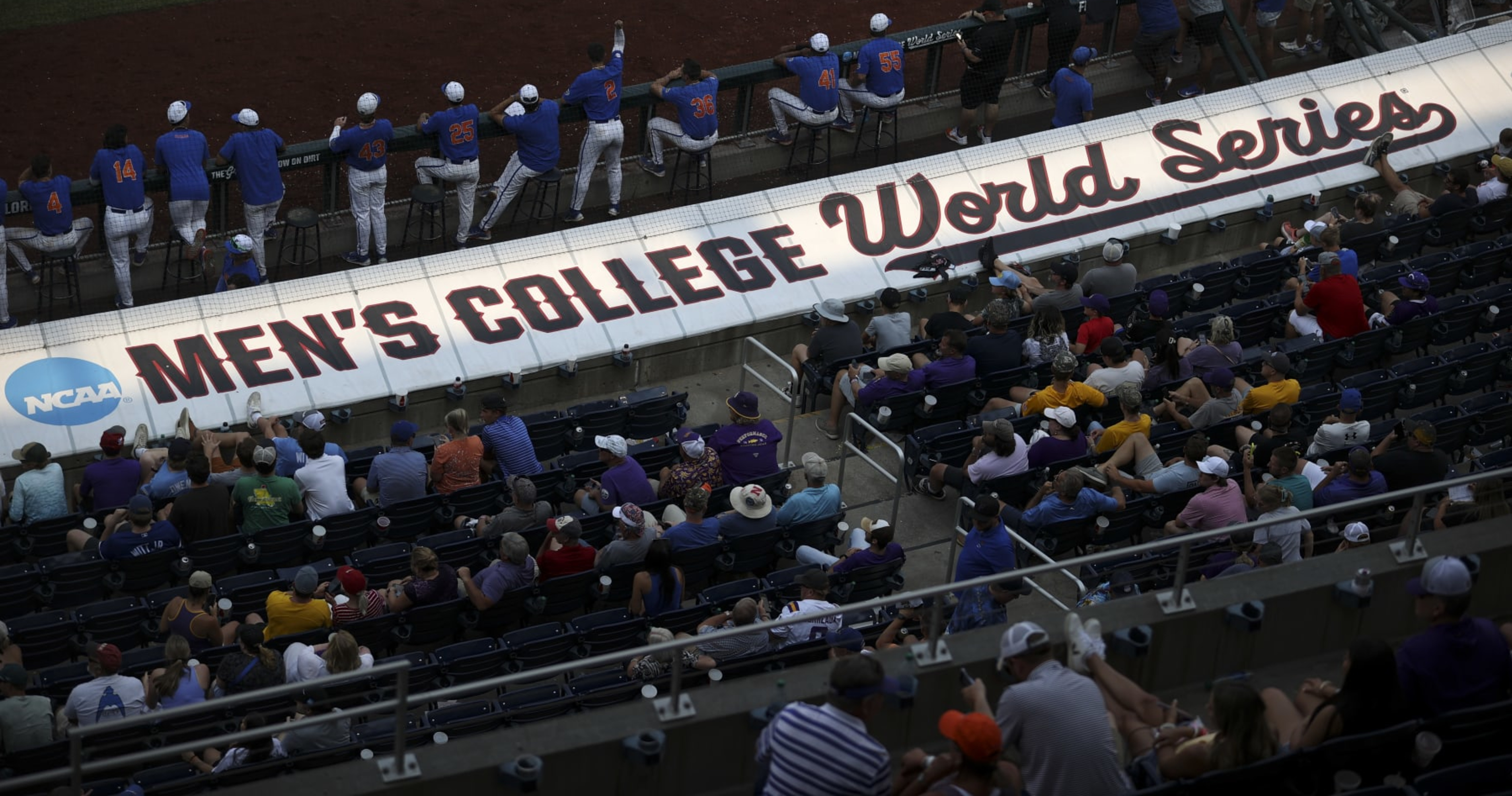 College World Series 2024: Championship Bracket and Predictions