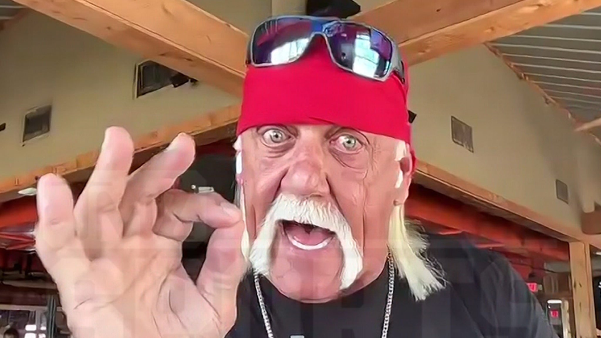 Hulk Hogan Makes a Case for Mike Tyson Ahead of Jake Paul Fight