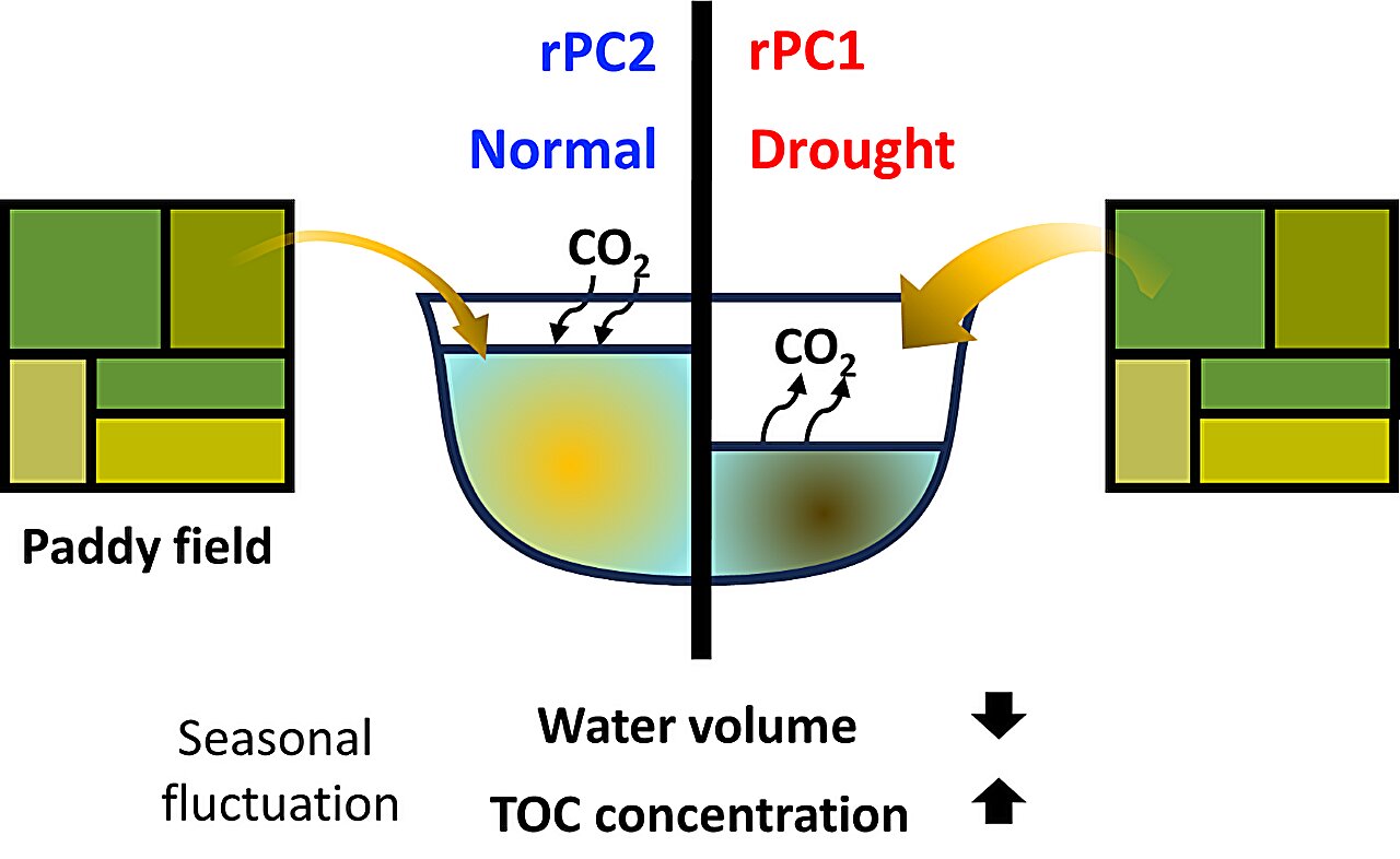 Unraveling the drought dilemma in South Korea: Can reservoirs be a carbon source?