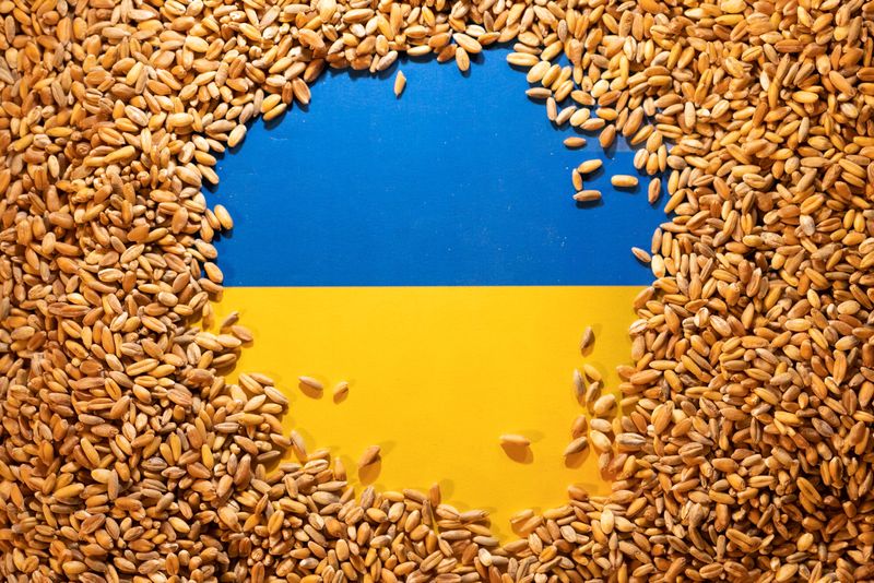 Minimum price mechanism for Ukrainian food exports to start in August, official says