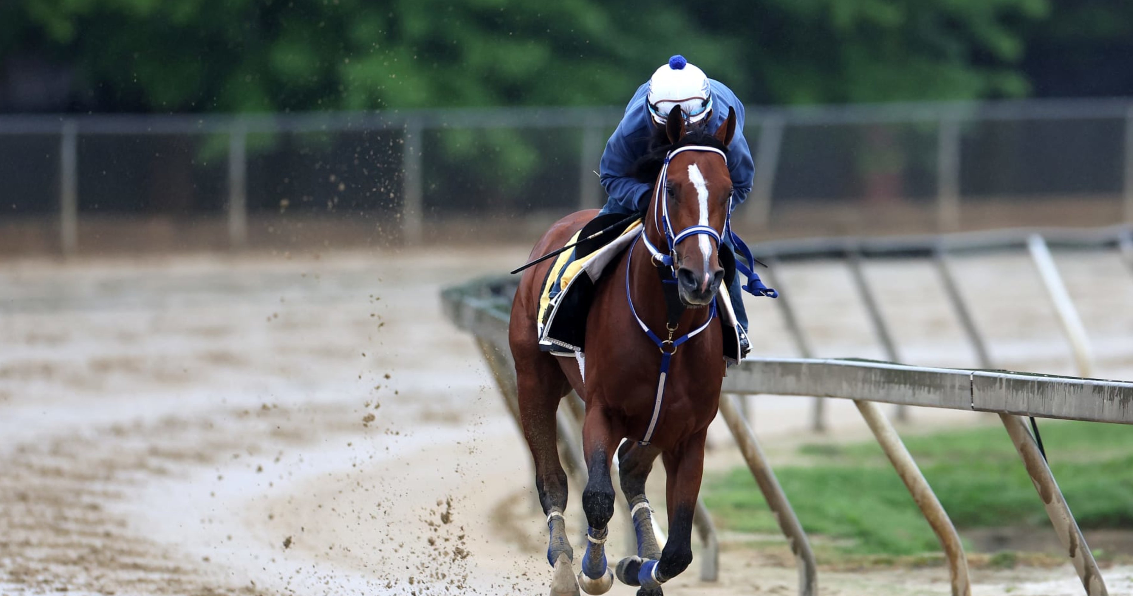 Belmont Stakes 2024 Post Positions: Complete Listing for Every Horse