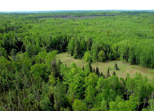 Landscape Architects Support Indigenous Communities Through Conference Offset Program