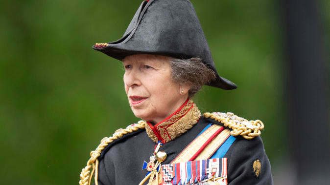 Princess Anne Hospitalized for Head Injury: Horses Suspected