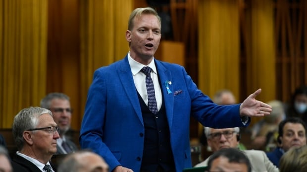 Conservative MP shares inaccurate, ChatGPT-generated stats on capital gains tax rate