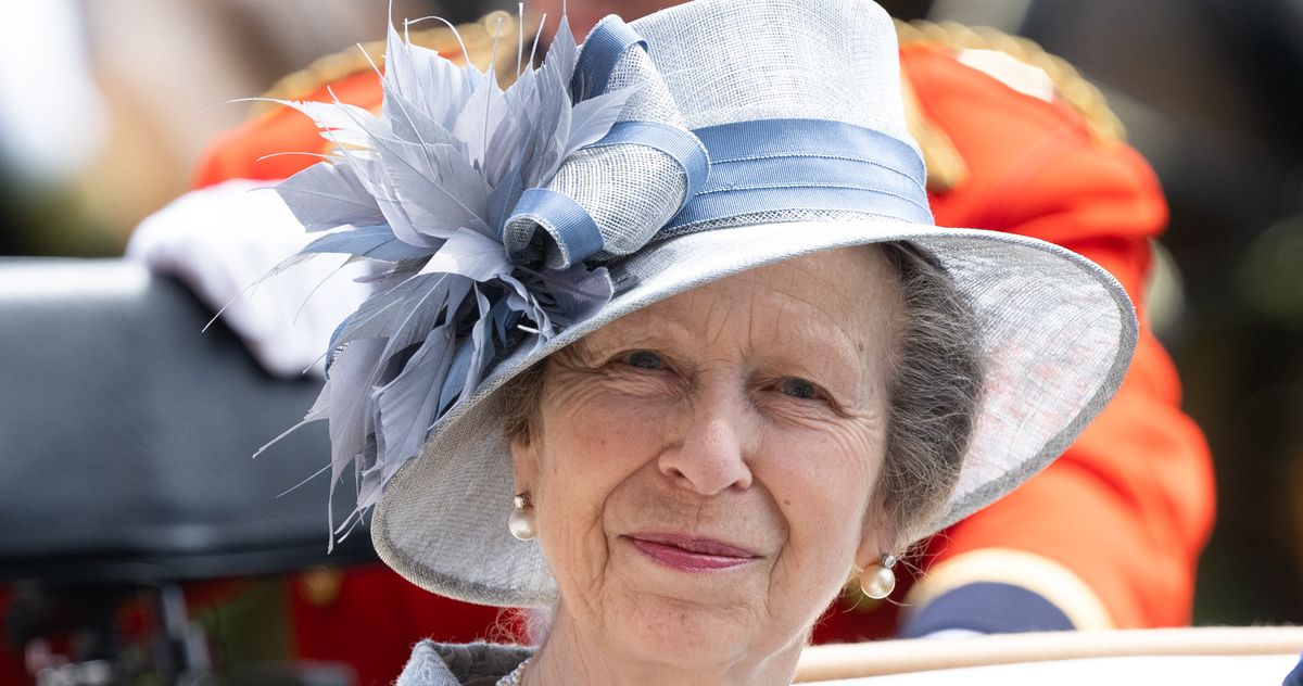 Princess Anne Is in the Hospital With a Concussion