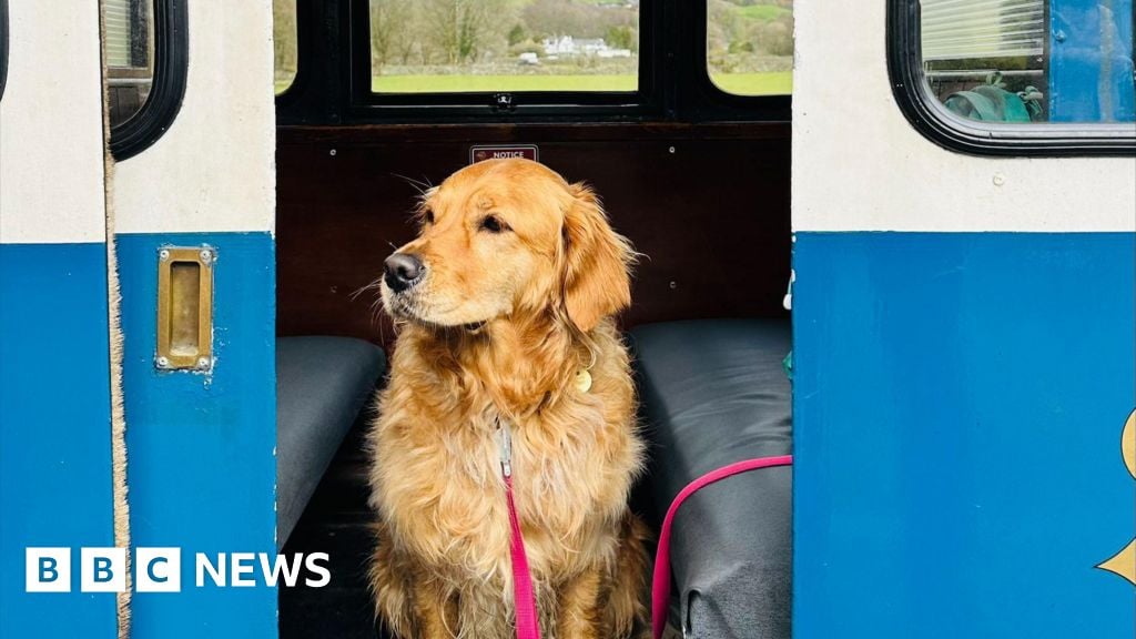 Canine commuters chase dog travel season tickets