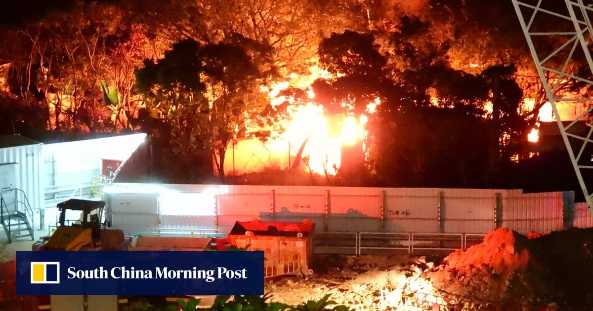 5 cats die in suspicious fire that erupts at dog kennel in Hong Kong