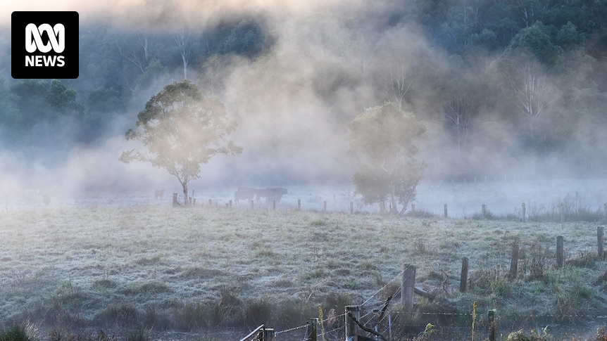 Australia's coldest towns revealed following week-long cold snap across eastern Australia