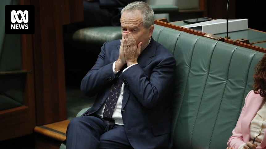 Bill Shorten looks to reassure disabled Australians over NDIS overhaul