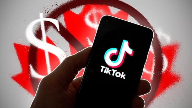 Can you get paid for posting on TikTok? Not in Canada