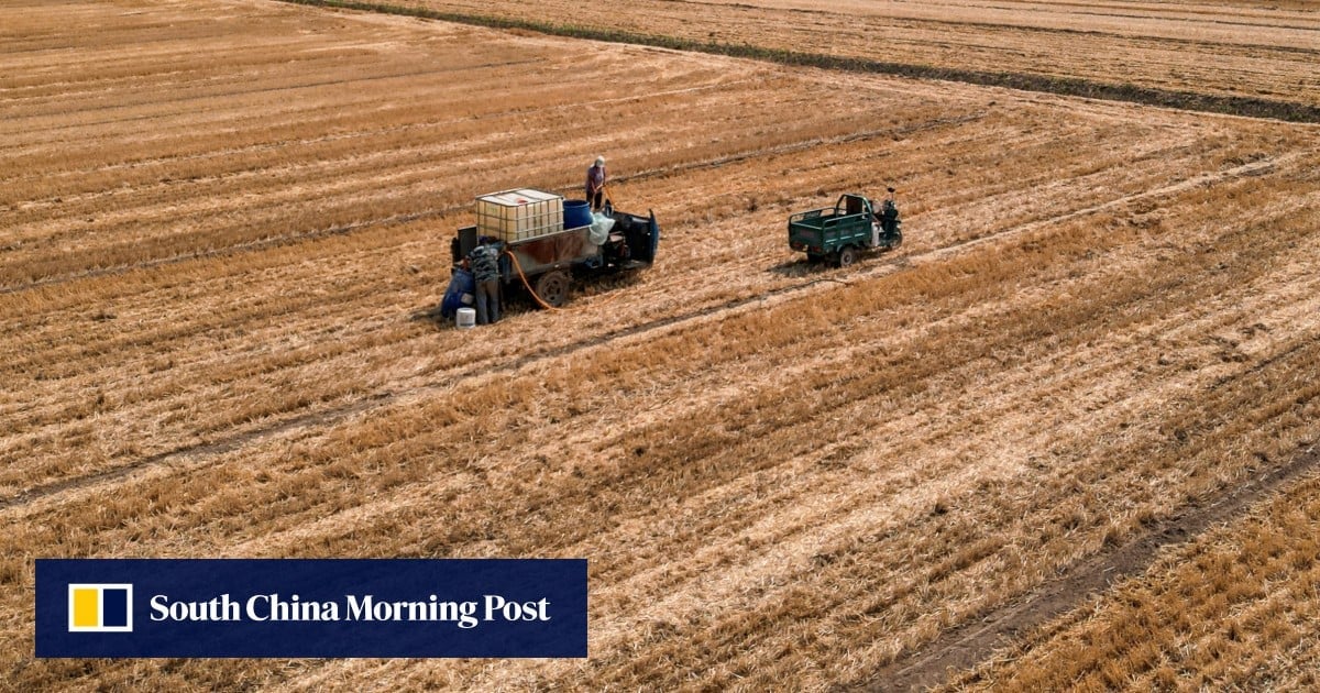 China must be better prepared for extreme weather and disasters, influential newspaper says